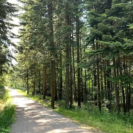 Lodge Marzeniec W Beskidzie Niskim *